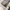 Vintage Celana Cargo Cloud 72 size 36 photo 6