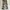 Celana Cargo Army size 29 photo 2