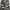 Celana Cargo Army size 29 photo 3