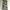 Celana Cargo Army size 29 photo 1