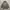 Beipop Parka Jaket photo 4
