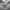 Streetwear Sportswear Windbreaker Pria gray photo 3