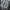 Streetwear Sportswear Windbreaker Pria gray photo 6