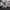 Streetwear Sportswear Windbreaker Pria gray photo 7
