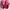 Melissa Casual Sneakers Wanita pink photo 3