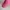 Melissa Casual Sneakers Wanita pink photo 4