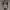 JAM TANGAN photo 4