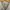 Stussy Vintage Streetwear Sweatshirt Pria cream photo 2