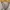 Stussy Vintage Streetwear Sweatshirt Pria Cream