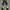 Tripp NYC space flight pants photo 4