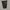 Burberry black label multipocket shorts pant photo 6