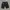 Burberry Black Label Multipocket Shorts Pant