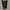 Burberry black label multipocket shorts pant photo 5