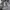 Urban Research Short Pria gray photo 4