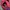 HOKA Streetwear Sportswear Sneakers Wanita red photo 3