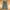Klein Plus Cargo Pants  photo 1