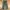 Klein Plus Cargo Pants  photo 2
