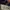 Hoodir NFL new york authentic photo 3