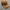 Carhartt odessa duck canvas patch logo cap hat photo 2
