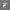 Hoodie Stussy Sun Faded photo 4