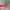 Vintage Oakley Sunglasses  photo 8