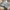 Spao Vintage Sweatshirt Pria cream photo 3