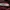 Champion Casual T-shirt Pria burgundy photo 5