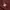 Champion Casual T-shirt Pria burgundy photo 3