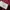 Sportswear T-shirt Wanita burgundy photo 8