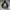 VENICE CLASS SICKS ZIPPER HOODIE photo 1