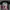 Kaos anime bootleg One Piece "Roronoa Zoro" photo 1