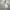 Oversized Boxy Zip Hoodie Ecru Standard photo 4