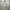 Oversized Boxy Zip Hoodie Ecru Standard photo 1