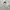 Oversized Boxy Zip Hoodie Ecru Standard photo 3