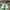 LOUIS VUITTON TRAINERS SIGNATURE GREEN WHITE SNEAKERS , LOUI photo 2