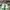 LOUIS VUITTON TRAINERS SIGNATURE GREEN WHITE SNEAKERS , LOUI