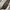 LOUIS VUITTON TRAINERS SIGNATURE GREEN WHITE SNEAKERS , LOUI photo 8