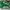 LOUIS VUITTON TRAINERS SIGNATURE GREEN WHITE SNEAKERS , LOUI photo 5