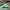 LOUIS VUITTON TRAINERS SIGNATURE GREEN WHITE SNEAKERS , LOUI photo 1