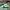 LOUIS VUITTON TRAINERS SIGNATURE GREEN WHITE SNEAKERS , LOUI