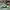 LOUIS VUITTON TRAINERS SIGNATURE GREEN WHITE SNEAKERS , LOUI photo 3