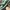 LOUIS VUITTON TRAINERS SIGNATURE GREEN WHITE SNEAKERS , LOUI photo 6