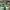 LOUIS VUITTON TRAINERS SIGNATURE GREEN WHITE SNEAKERS , LOUI photo 4