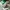 LOUIS VUITTON TRAINERS SIGNATURE GREEN WHITE SNEAKERS , LOUI photo 7