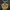 Kaos anime bootleg Attack On Titan "Levi Ackerman" SKAARS photo 4