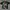 Kaos Anime Bootleg Attack On Titan "Levi Ackerman" SKAARS