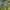 Arc'teryx Gorpcore Track jacket Pria green photo 7