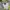 Arc'teryx Gorpcore Track jacket Pria green photo 5