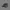 Sepatu Salomon Outline GTX Trail Men photo 2