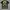 Off-White Streetwear T-shirt Pria black photo 1
